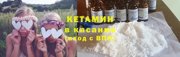 гидра Елизово