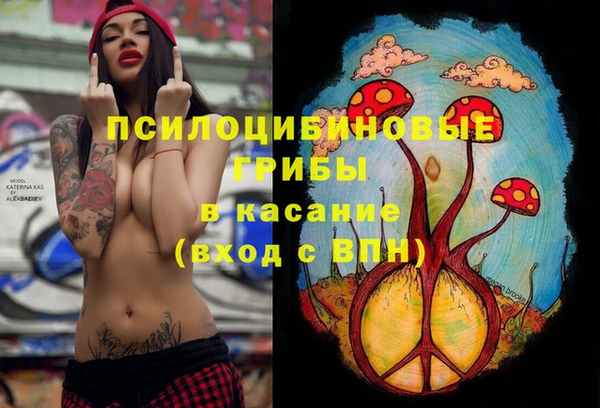 винт Ельня
