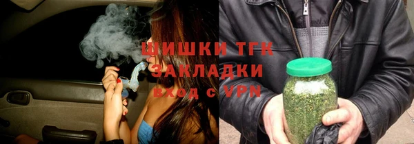 винт Ельня