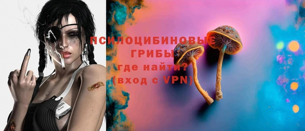 винт Ельня
