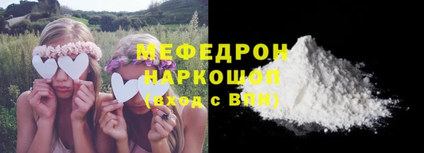 винт Ельня