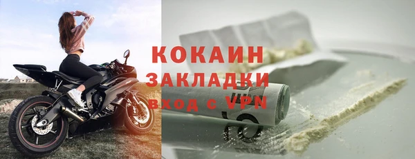 гидра Елизово