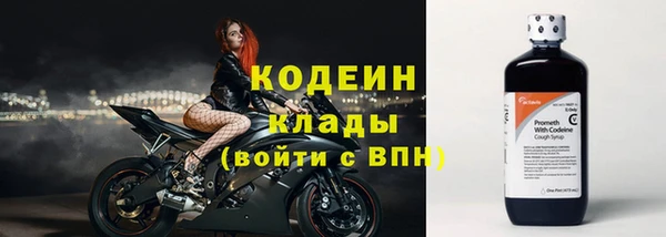 винт Ельня