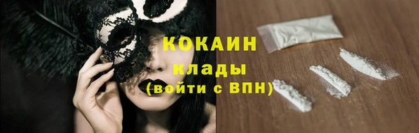 винт Ельня