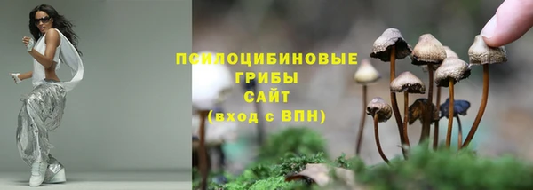 гидра Елизово