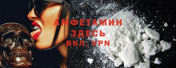 гидра Елизово
