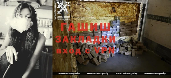 винт Ельня