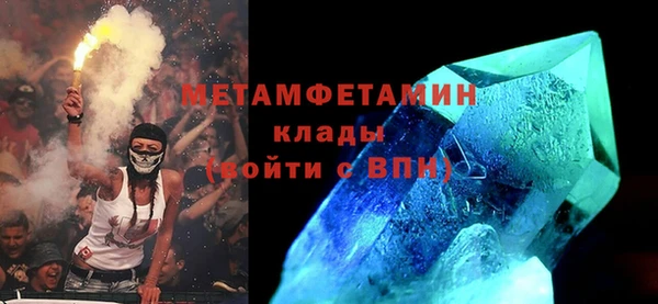 гидра Елизово
