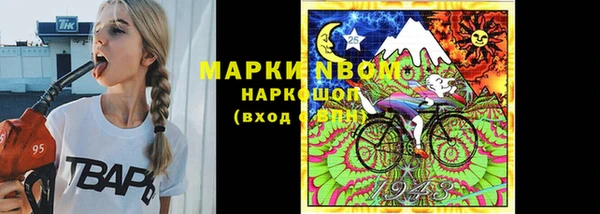гидра Елизово