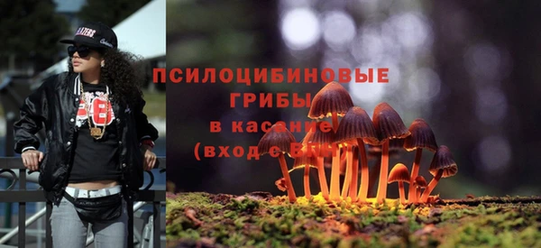 гидра Елизово