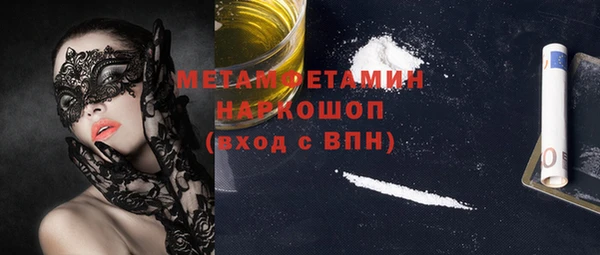 гидра Елизово