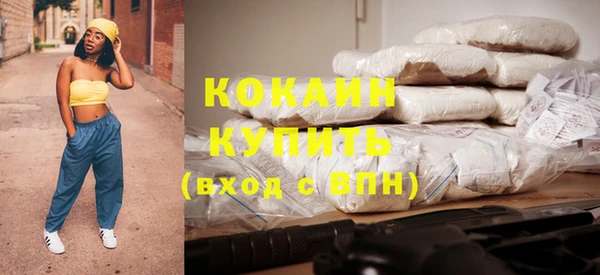 винт Ельня