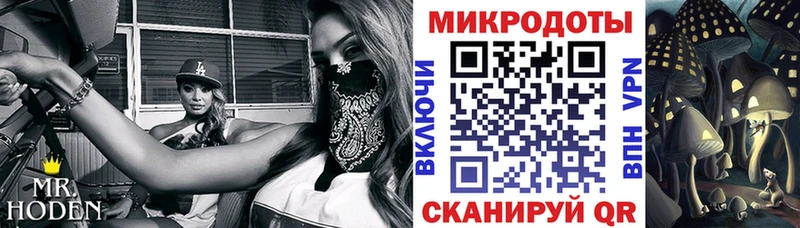 Галлюциногенные грибы Magic Shrooms  Купить  Могоча 